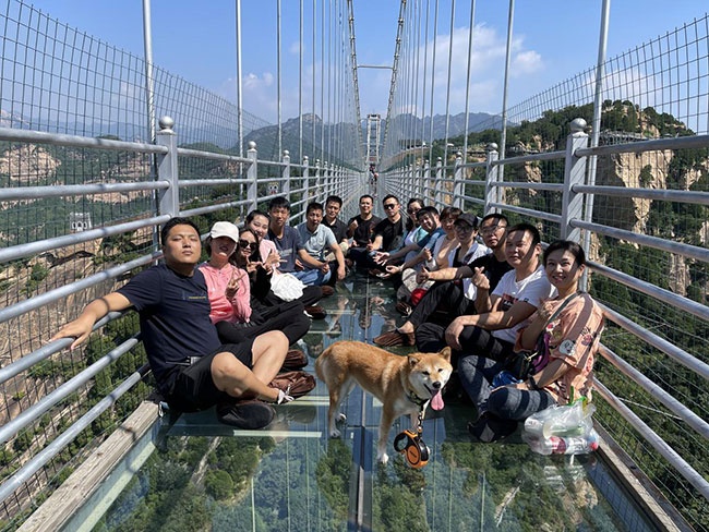 图片8.jpg